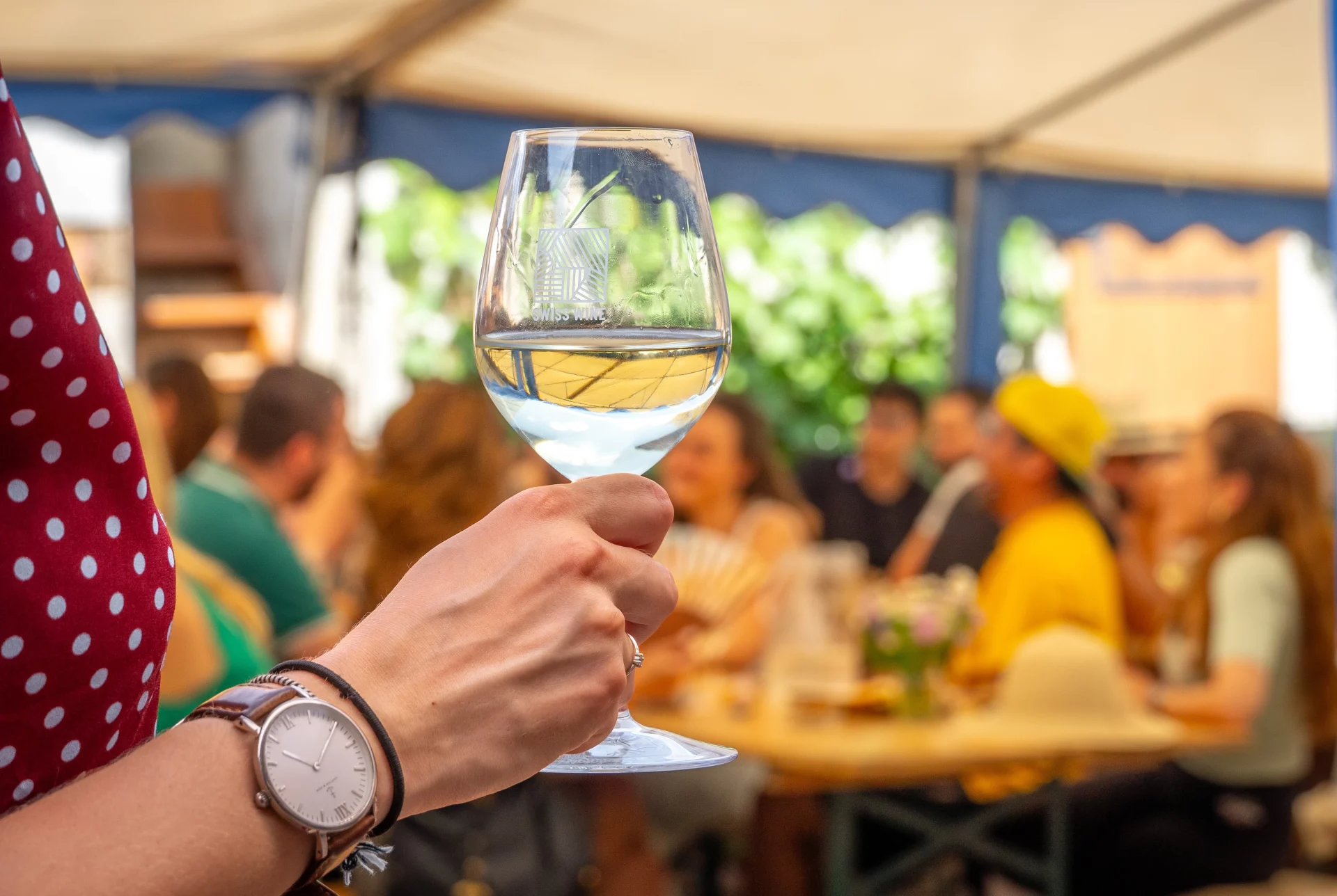 lacavedegeneve-caves-ouvertes-degustation-vins