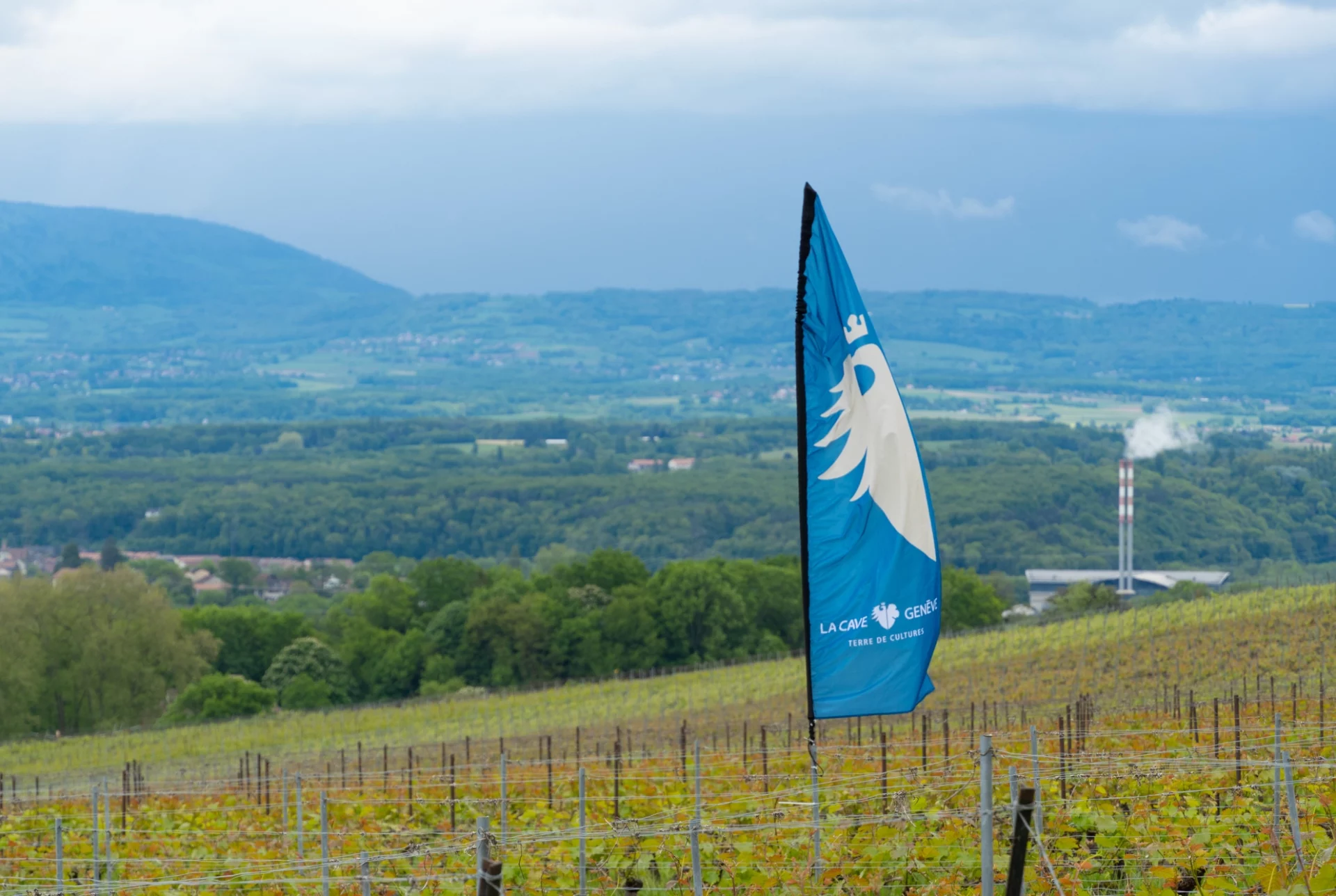 lacavedegeneve-caves-ouvertes-degustation-vins-evenement-concours